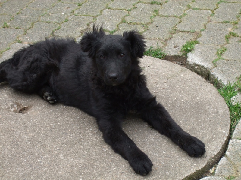 Ostern 2007 Orleshausen 029 